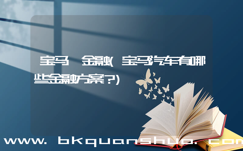 宝马 金融(宝马汽车有哪些金融方案？)